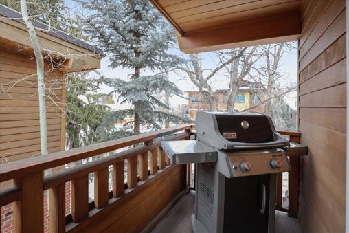 Gas BBQ Grill
