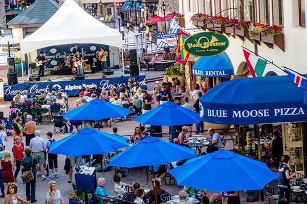The Blue Moose