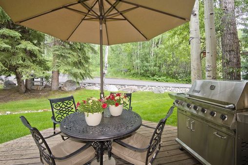 Gas BBQ Grill