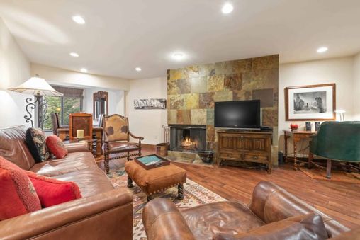 Wood-burning fireplace