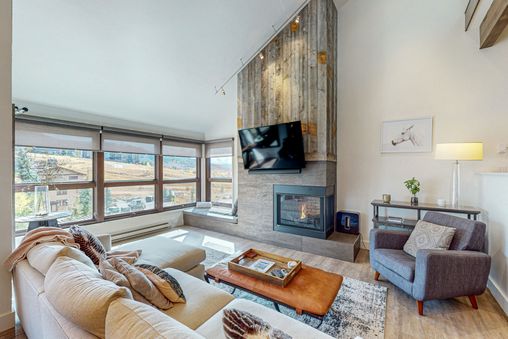 Gas fireplace