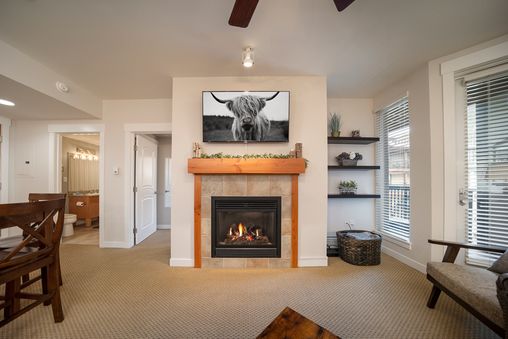 Fireplace in Living Room