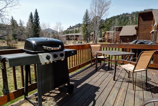 Gas BBQ Grill