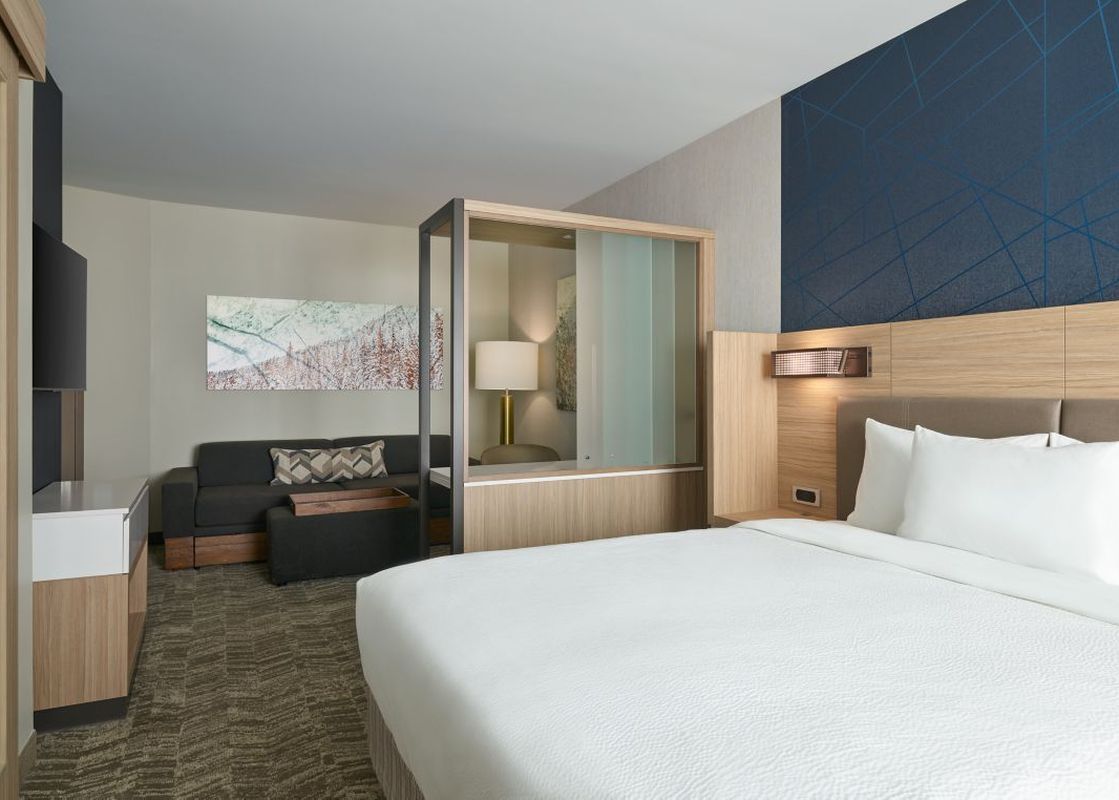 SpringHill Suites 1 King Suite