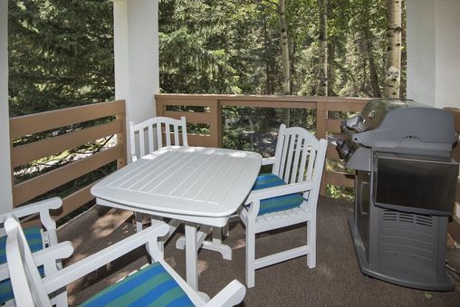 Gas BBQ Grill