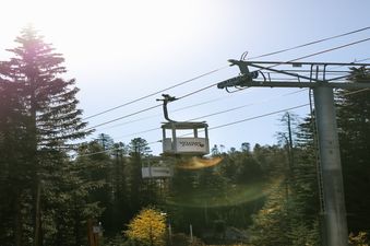 Gondola cabins carrying passengers over tall pine trees under a bright sky at Moose Drool Lodge.