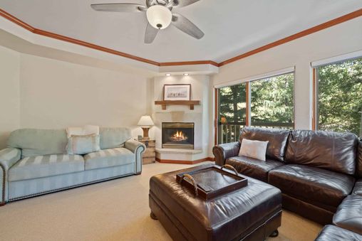 Fireplace in Living Room