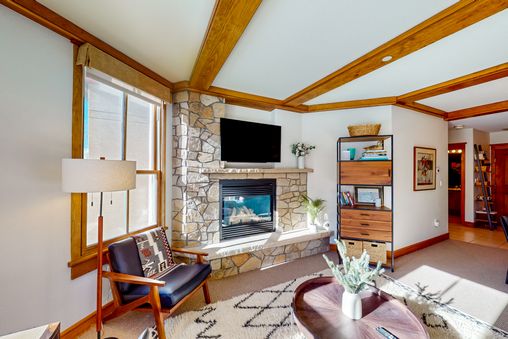 Gas fireplace