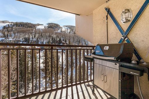 Outdoor Gas Grill