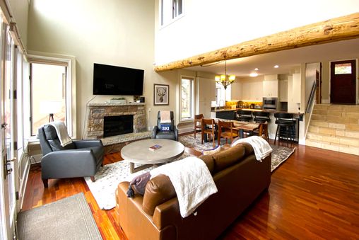 Gas fireplace