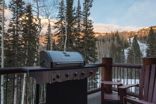 Gas BBQ Grill