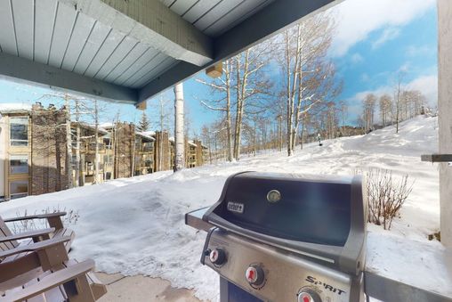 Gas BBQ Grill