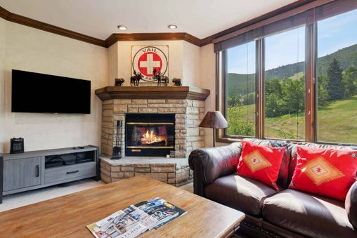 Wood Burning Fireplace