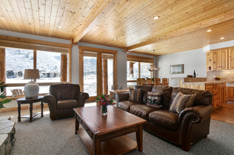 Bristlecone 503