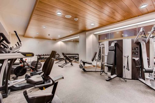 The Lion gym features multiple cardio machines including treadmills, elliptical machines, and stationary bikes. It also has a full set of weights and weight machines.