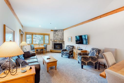 Gas fireplace