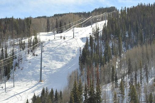 Walk to lifts