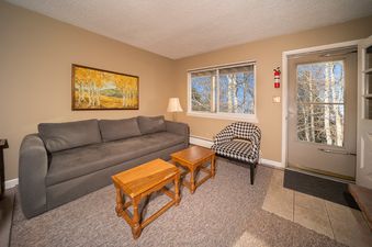 The living area of Hi Country Haus 309 features a comfortable gray sofa, two wooden coffee tables, and a patterned armchair.