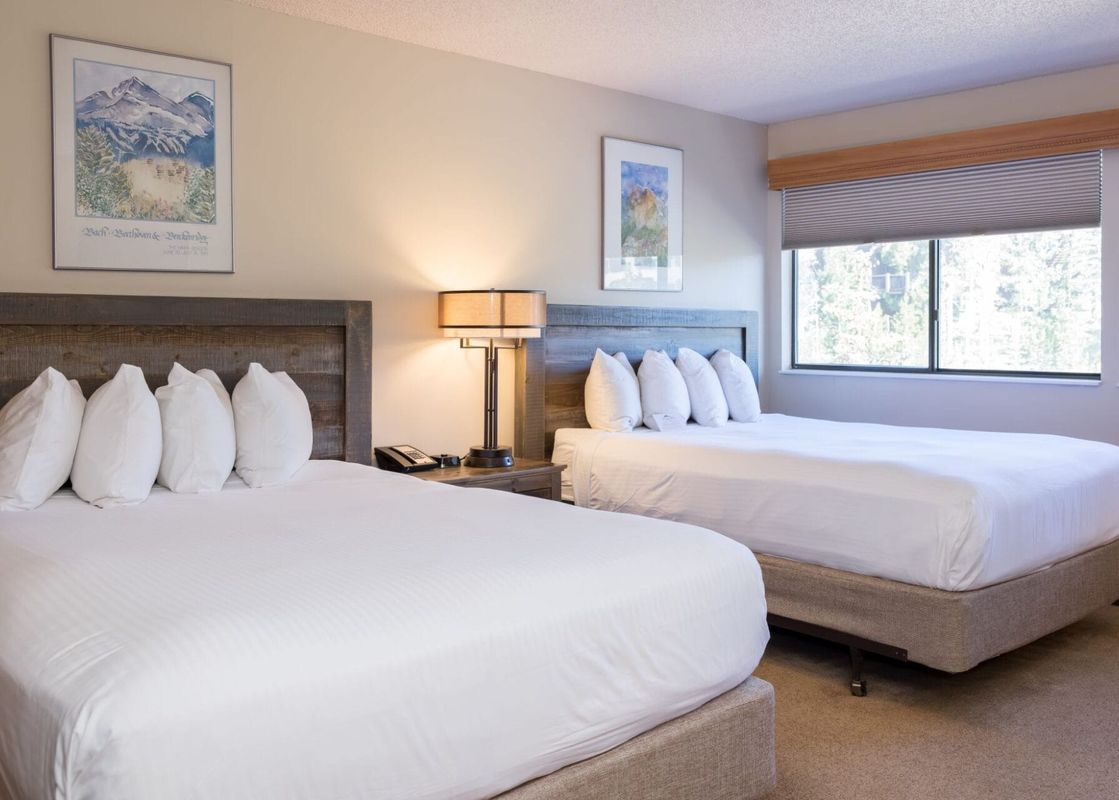 A hotel room with two beds, each with white bedding and multiple pillows. A bedside table with a lamp sits between the beds, and two framed pictures hang on the wall above them. Large windows with blinds offer a view of trees outside.