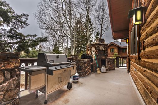 Gas BBQ Grill