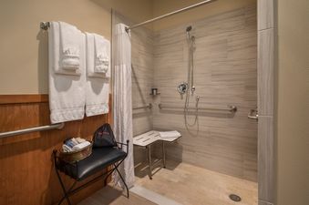 A close-up view of the shower in Hotel Telluride Signature King shows the accessibility features like the shower seat and grab bars.