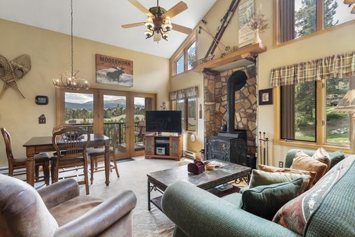 Wood-burning fireplace