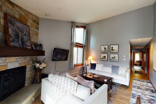 Wood-burning fireplace