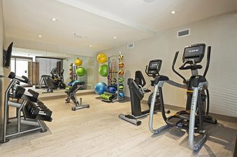 A modern gym with ellipticals, free weights, and a variety of exercise balls.