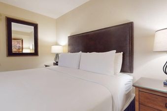 A king-sized bed with white linens and a dark brown upholstered headboard is shown in a bedroom at Montaneros 217, with a mirror and a nightstand with a lamp visible.