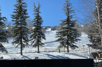 image 158578084