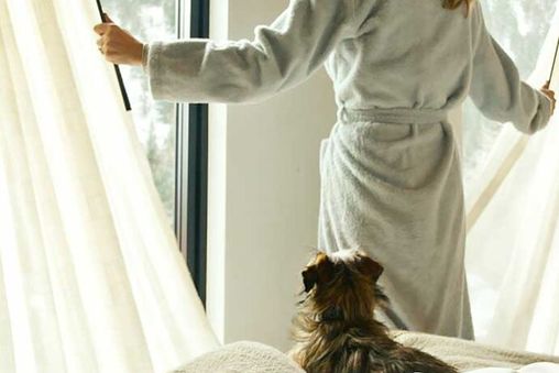 Dogs allowed upon prior approval for a fee
