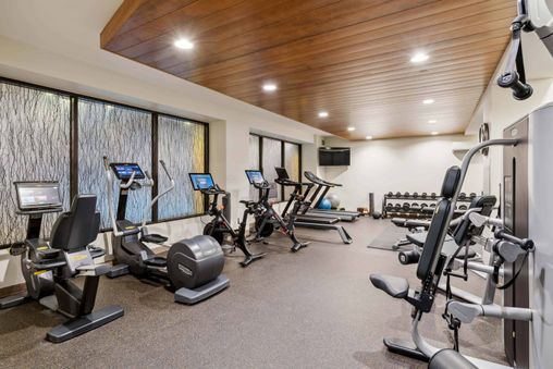 The Lion features a well-equipped gym for guests to maintain their fitness routines.