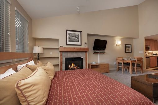 Fireplace in Living Room