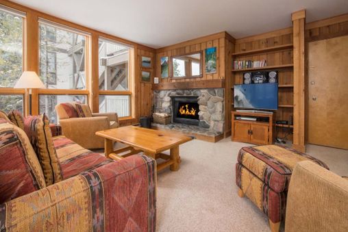 Fireplace (Winter only)