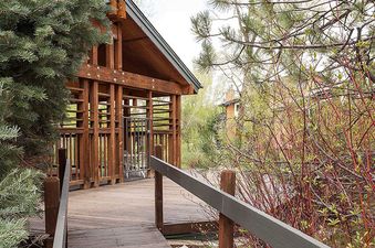 The Pines