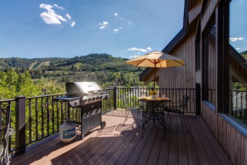 Gas BBQ Grill