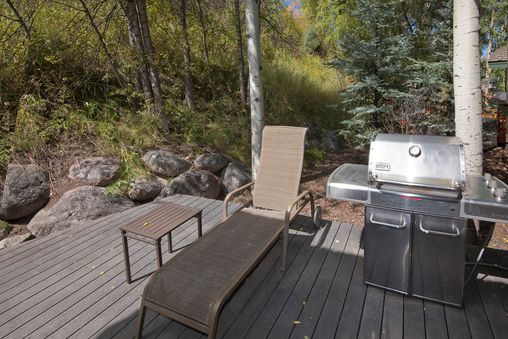 Gas BBQ Grill