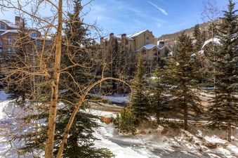 28 Oxford-Court-202 view