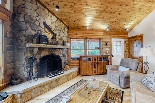 Fireplace in Living Room