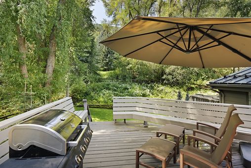 Gas BBQ Grill