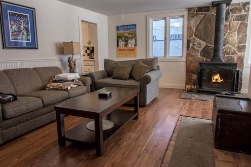 Fireplace in Living Room