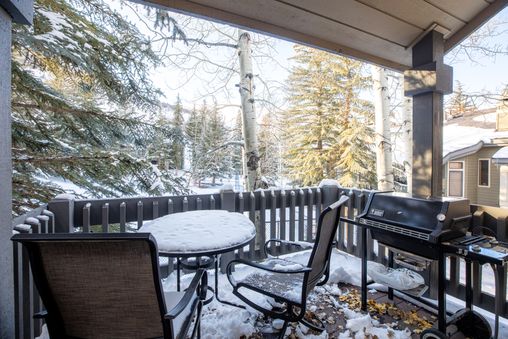 Gas BBQ Grill
