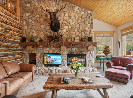 Bristlecone 504