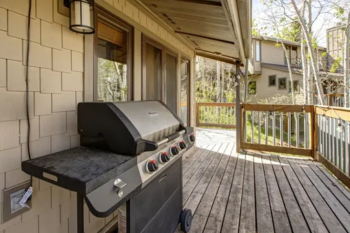 Gas BBQ Grill