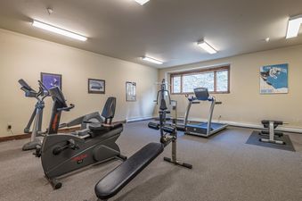 A well-equipped fitness room with an elliptical, recumbent bike, treadmill, and weight bench, with a window offering an outdoor view.
