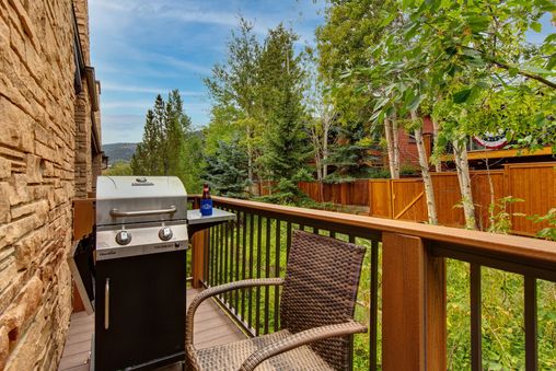 Gas BBQ Grill