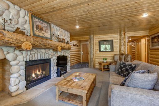 Fireplace in Living Room