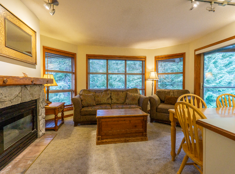 The living area features a stone fireplace, comfortable seating, and large windows with wooden blinds looking out onto lush greenery.