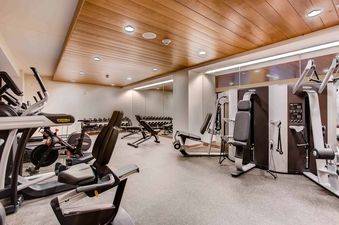 10 The Lion Gym