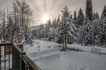 11 Black Shamrock Chalet
